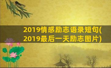 2019情感励志语录短句(2019最后一天励志图片)