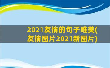 2021友情的句子唯美(友情图片2021新图片)