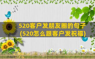 520客户发朋友圈的句子(520怎么跟客户发祝福)