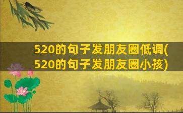 520的句子发朋友圈低调(520的句子发朋友圈小孩)