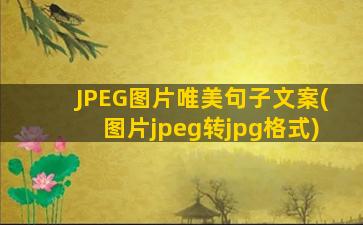 JPEG图片唯美句子文案(图片jpeg转jpg格式)