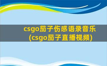 csgo茄子伤感语录音乐(csgo茄子直播视频)