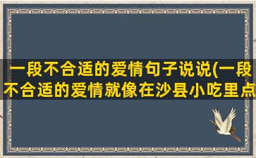 一段不合适的爱情句子说说(一段不合适的爱情就像在沙县小吃里点酸菜鱼)