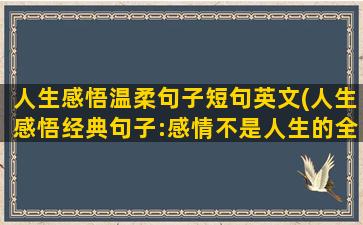 人生感悟温柔句子短句英文(人生感悟经典句子:感情不是人生的全部)