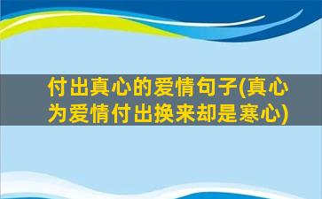 付出真心的爱情句子(真心为爱情付出换来却是寒心)