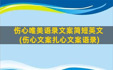 伤心唯美语录文案简短英文(伤心文案扎心文案语录)