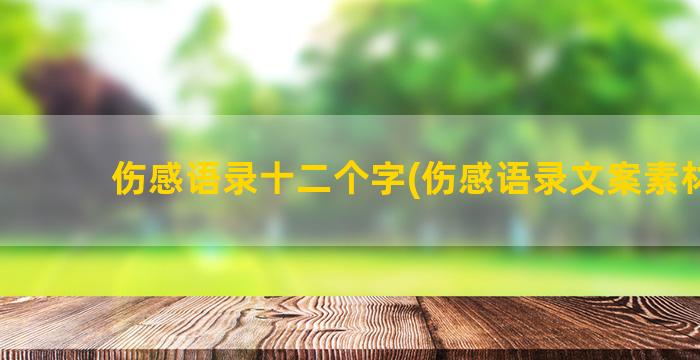 伤感语录十二个字(伤感语录文案素材库)