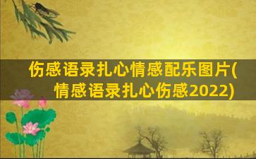 伤感语录扎心情感配乐图片(情感语录扎心伤感2022)