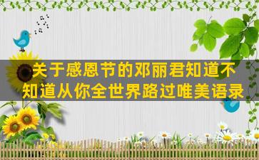 关于感恩节的邓丽君知道不知道从你全世界路过唯美语录