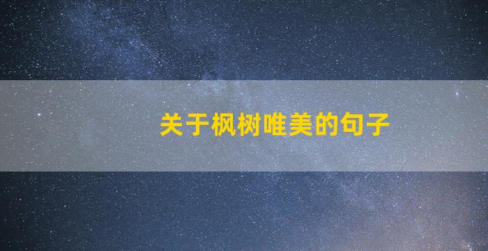 关于枫树唯美的句子