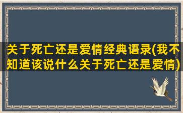 关于死亡还是爱情经典语录(我不知道该说什么关于死亡还是爱情)