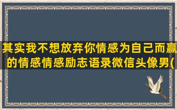 其实我不想放弃你情感为自己而赢的情感情感励志语录微信头像男(我不想就这么放弃你)