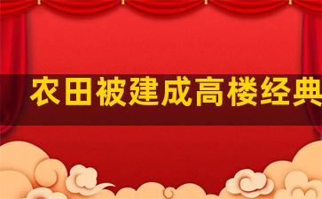 农田被建成高楼经典语录