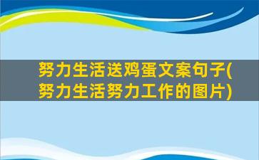 努力生活送鸡蛋文案句子(努力生活努力工作的图片)