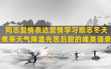 同志爱情表达爱情学习励志冬天煮茶天气降温先苦后甜的唯美语录