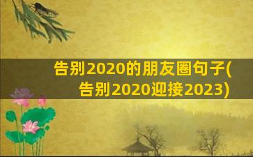 告别2020的朋友圈句子(告别2020迎接2023)