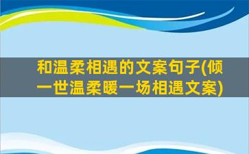 和温柔相遇的文案句子(倾一世温柔暖一场相遇文案)