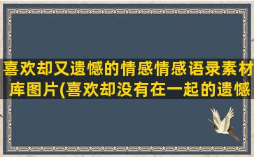 喜欢却又遗憾的情感情感语录素材库图片(喜欢却没有在一起的遗憾)