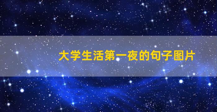 大学生活第一夜的句子图片