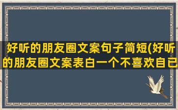 好听的朋友圈文案句子简短(好听的朋友圈文案表白一个不喜欢自已的男生)