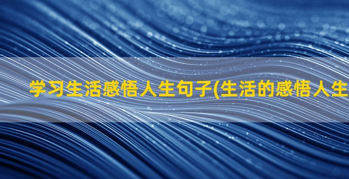 学习生活感悟人生句子(生活的感悟人生句子图片)