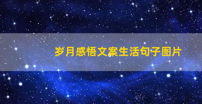 岁月感悟文案生活句子图片