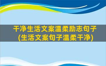 干净生活文案温柔励志句子(生活文案句子温柔干净)