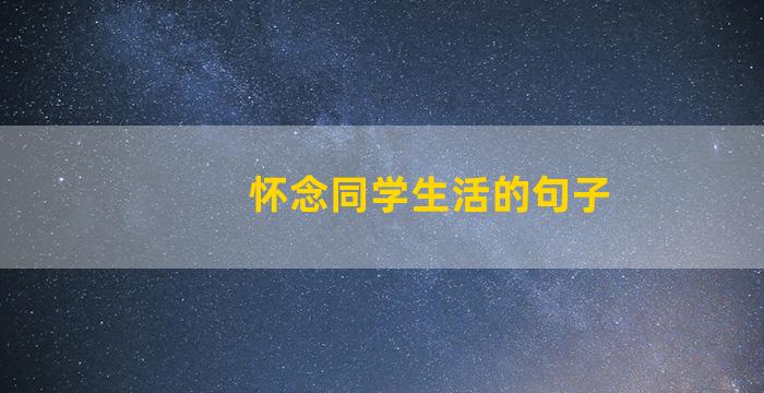 怀念同学生活的句子