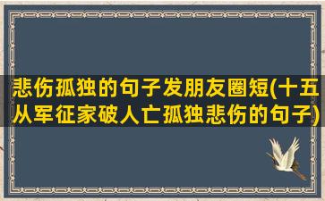 悲伤孤独的句子发朋友圈短(十五从军征家破人亡孤独悲伤的句子)