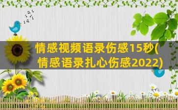 情感视频语录伤感15秒(情感语录扎心伤感2022)