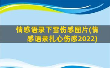 情感语录下雪伤感图片(情感语录扎心伤感2022)