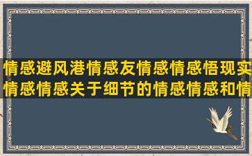 情感避风港情感友情感情感悟现实情感情感关于细节的情感情感和情感语录的区别(情感避风港图片)