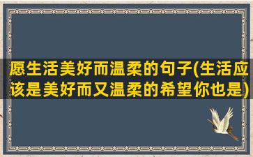 愿生活美好而温柔的句子(生活应该是美好而又温柔的希望你也是)