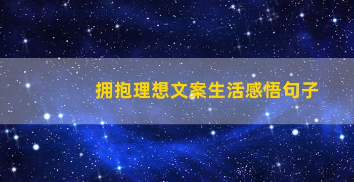 拥抱理想文案生活感悟句子