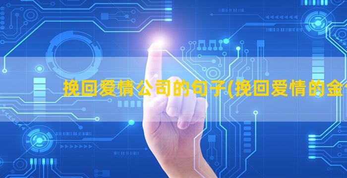 挽回爱情公司的句子(挽回爱情的金句)