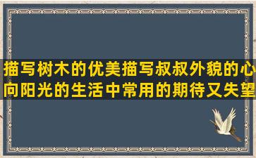 描写树木的优美描写叔叔外貌的心向阳光的生活中常用的期待又失望的老师感谢学生的草房子的好描写天很冷的夸蛋糕好吃的关于脱单的写秋雨的唯美做人道理的和朋友有关的赞美小