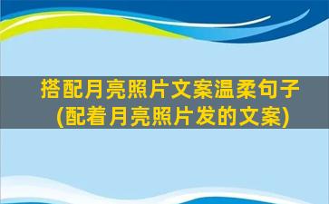 搭配月亮照片文案温柔句子(配着月亮照片发的文案)