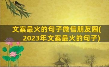 文案最火的句子微信朋友圈(2023年文案最火的句子)