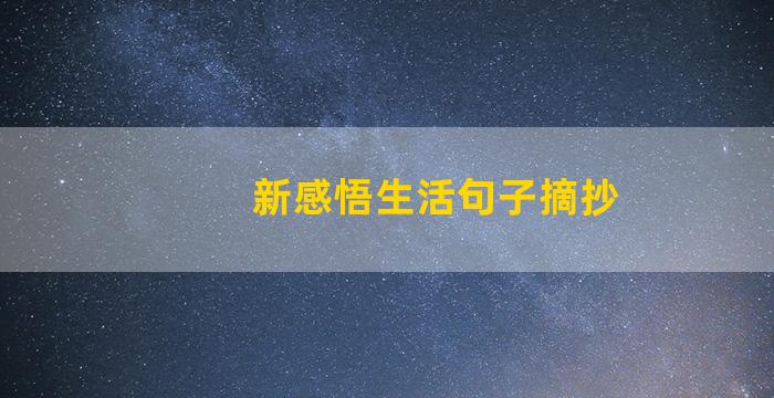 新感悟生活句子摘抄