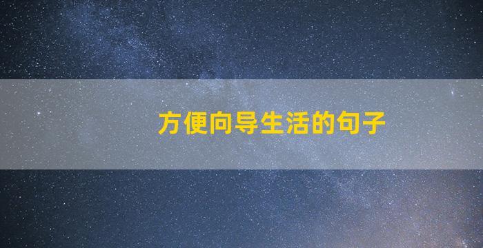 方便向导生活的句子