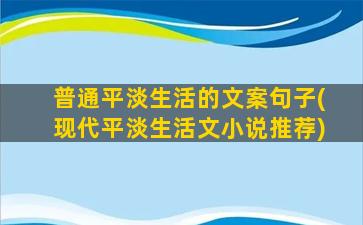 普通平淡生活的文案句子(现代平淡生活文小说推荐)