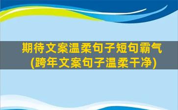 期待文案温柔句子短句霸气(跨年文案句子温柔干净)