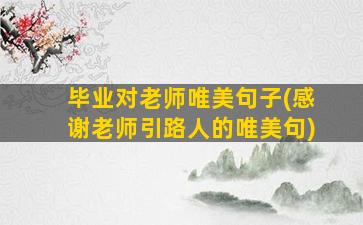 毕业对老师唯美句子(感谢老师引路人的唯美句)