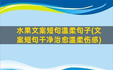 水果文案短句温柔句子(文案短句干净治愈温柔伤感)