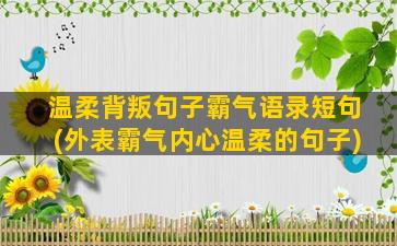 温柔背叛句子霸气语录短句(外表霸气内心温柔的句子)