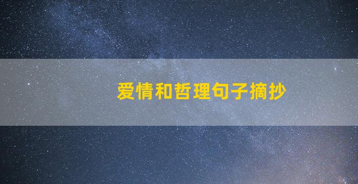 爱情和哲理句子摘抄