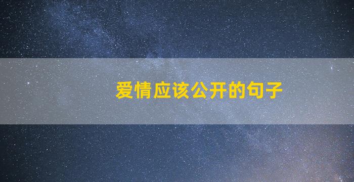 爱情应该公开的句子