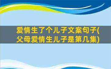 爱情生了个儿子文案句子(父母爱情生儿子是第几集)