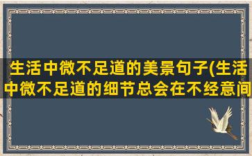 生活中微不足道的美景句子(生活中微不足道的细节总会在不经意间给你带来惊喜翻译)