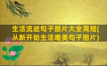 生活流逝句子图片大全简短(从新开始生活唯美句子图片)